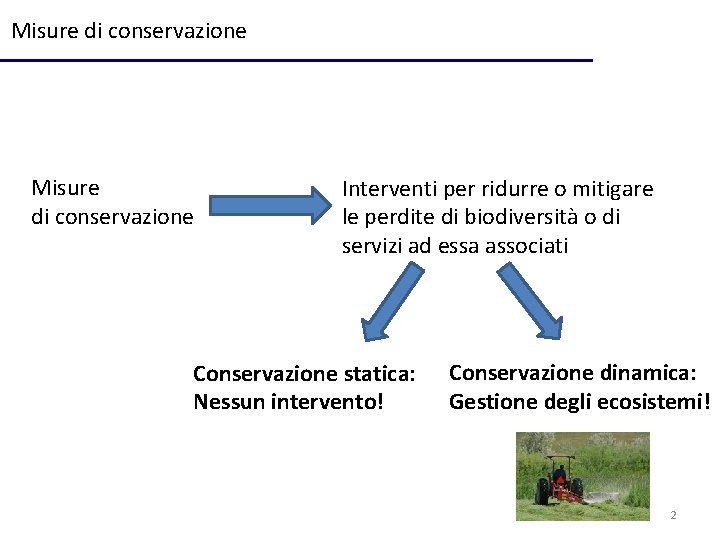 Misure di conservazione Interventi per ridurre o mitigare le perdite di biodiversità o di