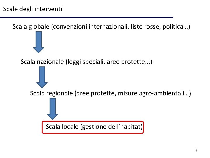 Scale degli interventi Scala globale (convenzioni internazionali, liste rosse, politica…) Scala nazionale (leggi speciali,