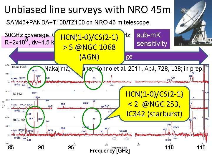 Unbiased line surveys with NRO 45 m SAM 45+PANDA+T 100/TZ 100 on NRO 45