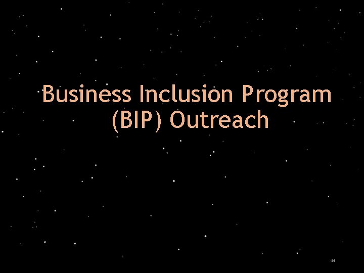 Business Inclusion Program (BIP) Outreach 44 