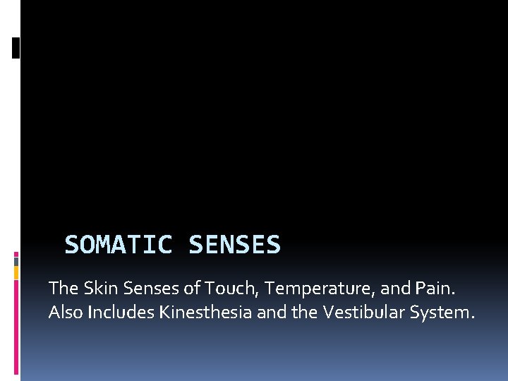 SOMATIC SENSES The Skin Senses of Touch, Temperature, and Pain. Also Includes Kinesthesia and