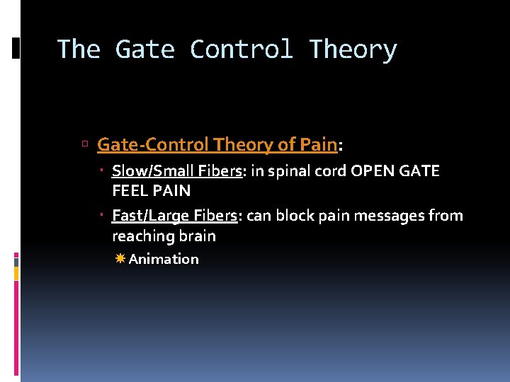 The Gate Control Theory Gate-Control Theory of Pain: Slow/Small Fibers: in spinal cord OPEN