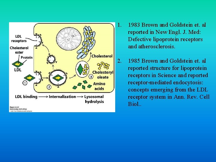 1. 1983 Brown and Goldstein et. al reported in New Engl. J. Med: Defective