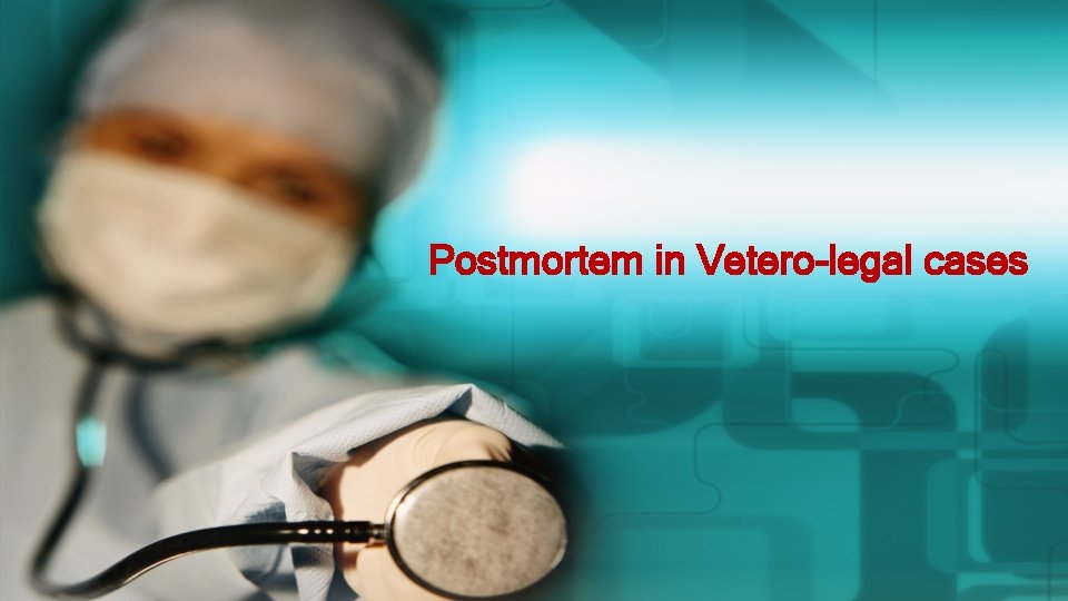 Postmortem in Vetero-legal cases Postmortem in Vetero-legal cases