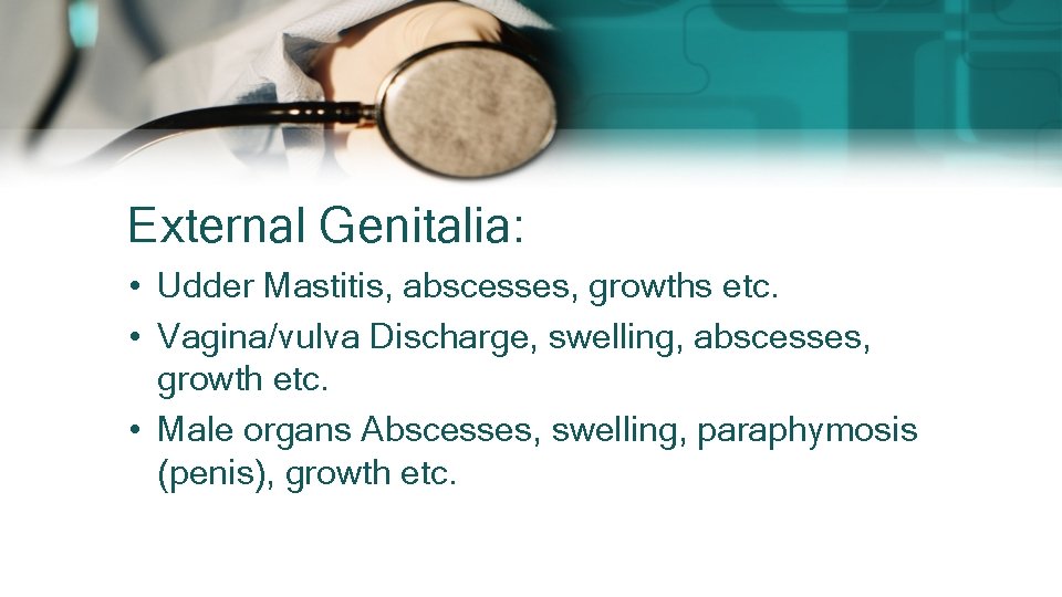 External Genitalia: • Udder Mastitis, abscesses, growths etc. • Vagina/vulva Discharge, swelling, abscesses, growth External Genitalia: • Udder Mastitis, abscesses, growths etc. • Vagina/vulva Discharge, swelling, abscesses, growth