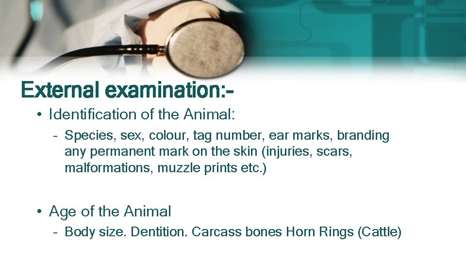 External examination: • Identification of the Animal: – Species, sex, colour, tag number, ear External examination: • Identification of the Animal: – Species, sex, colour, tag number, ear