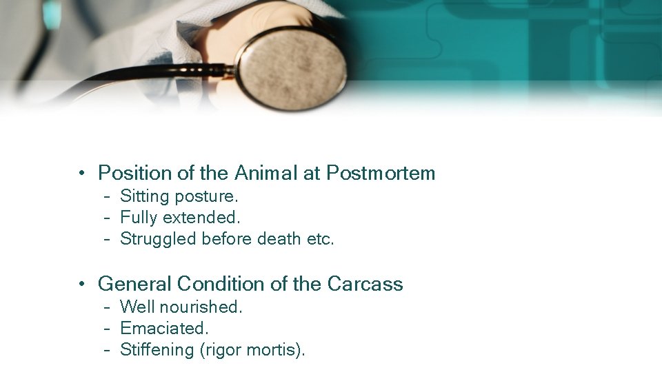 • Position of the Animal at Postmortem – Sitting posture. – Fully extended. • Position of the Animal at Postmortem – Sitting posture. – Fully extended.
