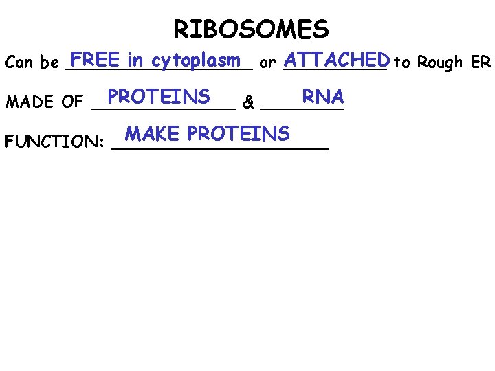 RIBOSOMES FREE in cytoplasm or ATTACHED Can be _________ to Rough ER PROTEINS RNA