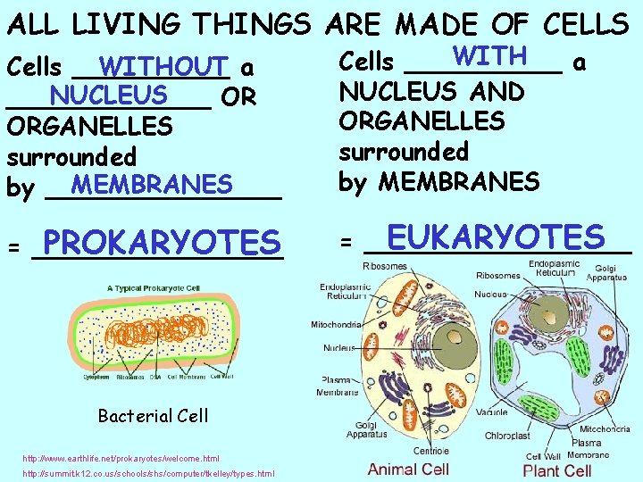 ALL LIVING THINGS ARE MADE OF CELLS Cells _____ WITHOUT a NUCLEUS _______ OR