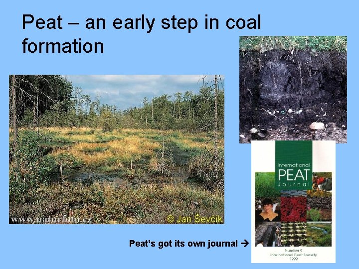 Peat – an early step in coal formation Peat’s got its own journal 