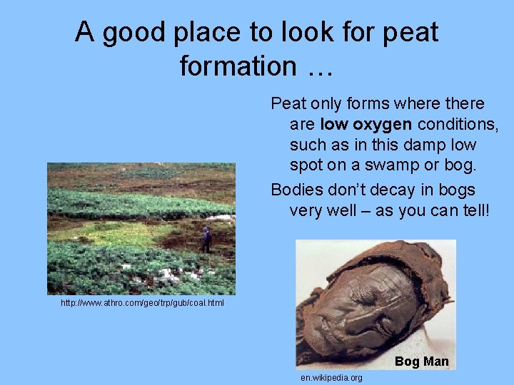 A good place to look for peat formation … Peat only forms where there