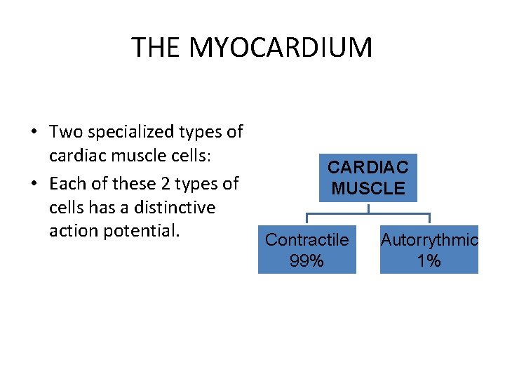 THE MYOCARDIUM • Two specialized types of cardiac muscle cells: • Each of these