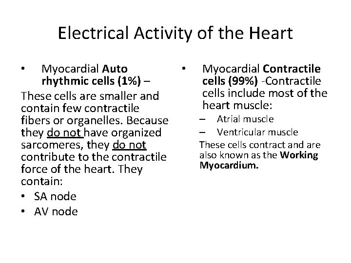 Electrical Activity of the Heart Myocardial Auto rhythmic cells (1%) – These cells are