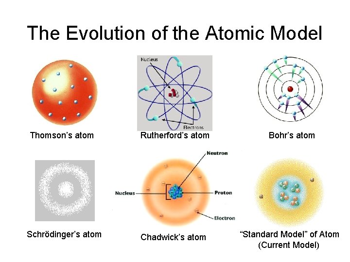 The Evolution of the Atomic Model Thomson’s atom Rutherford’s atom Bohr’s atom Schrödinger’s atom