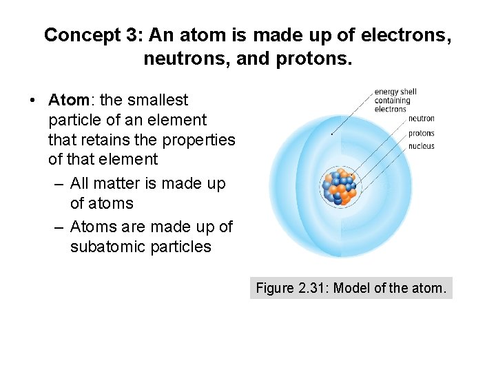 Concept 3: An atom is made up of electrons, neutrons, and protons. • Atom: