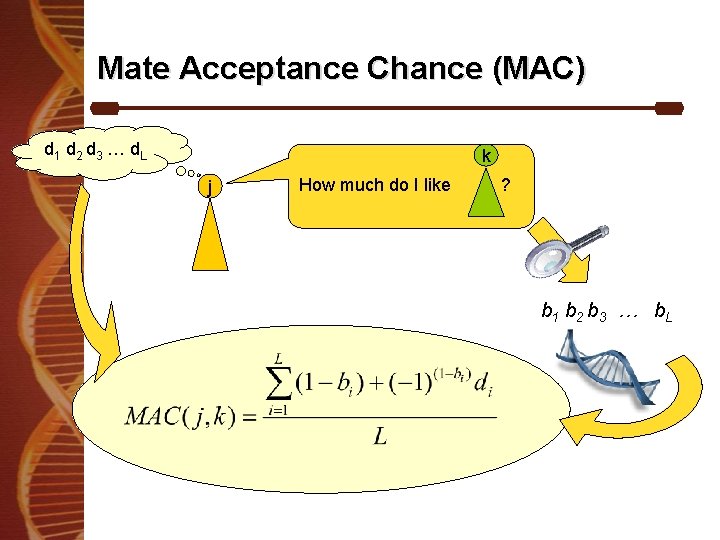 Mate Acceptance Chance (MAC) d 1 d 2 d 3 … d L k