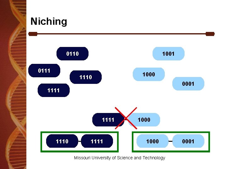 Niching 0110 1001 0111 1000 1110 0001 1111 1110 1111 1000 Missouri University of