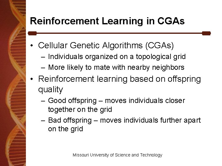 Reinforcement Learning in CGAs • Cellular Genetic Algorithms (CGAs) – Individuals organized on a