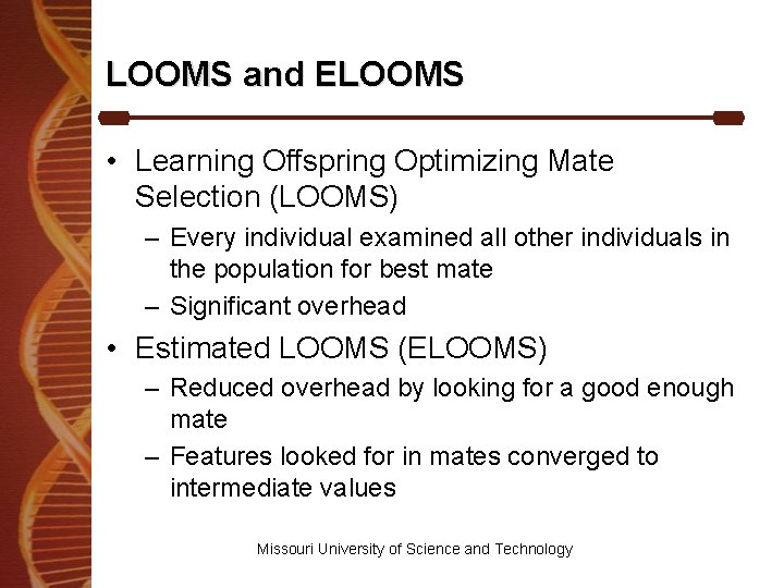 LOOMS and ELOOMS • Learning Offspring Optimizing Mate Selection (LOOMS) – Every individual examined
