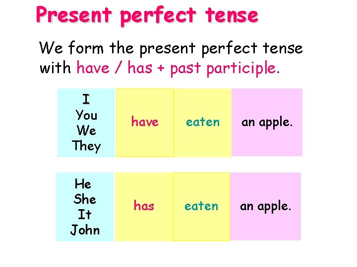 Present perfect tense We form the present perfect tense with have / has +