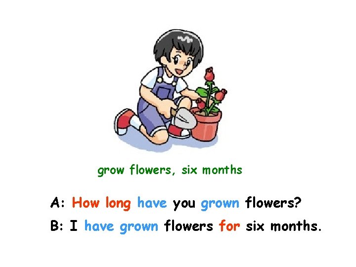 grow flowers, six months A: How long have you grown flowers? B: I have