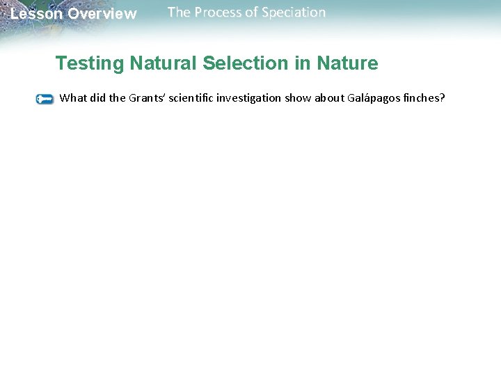 Lesson Overview The Process of Speciation Testing Natural Selection in Nature What did the