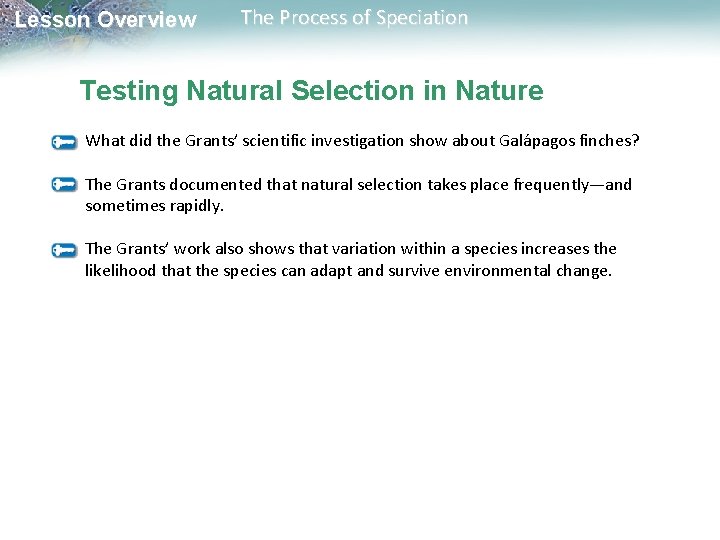 Lesson Overview The Process of Speciation Testing Natural Selection in Nature What did the