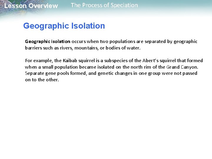 Lesson Overview The Process of Speciation Geographic Isolation Geographic isolation occurs when two populations