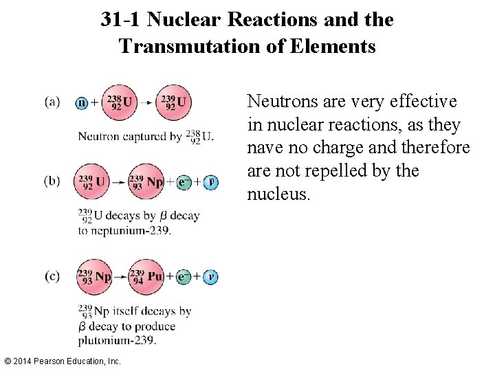 31 -1 Nuclear Reactions and the Transmutation of Elements Neutrons are very effective in