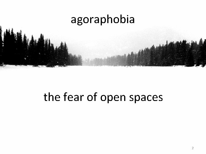 agoraphobia the fear of open spaces 2 agoraphobia the fear of open spaces 2