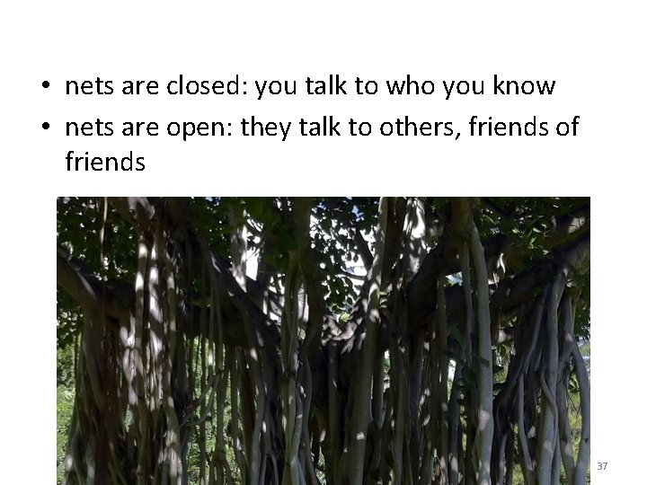 • nets are closed: you talk to who you know • nets are • nets are closed: you talk to who you know • nets are