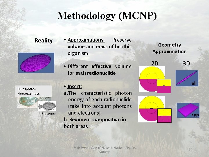 Methodology (MCNP) Reality • Approximations: Preserve volume and mass of benthic organism • Different