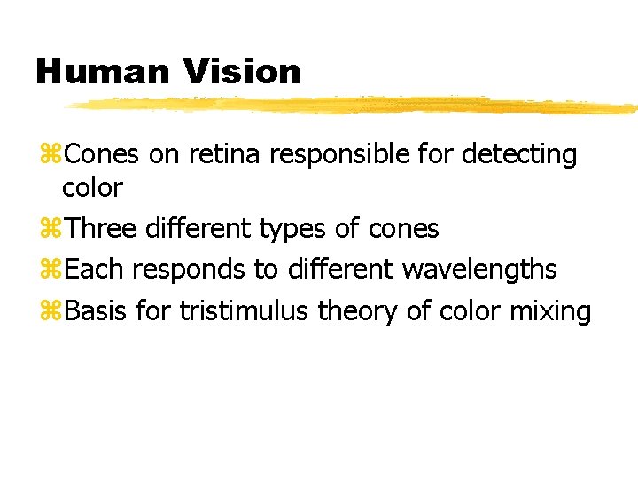 Human Vision z. Cones on retina responsible for detecting color z. Three different types