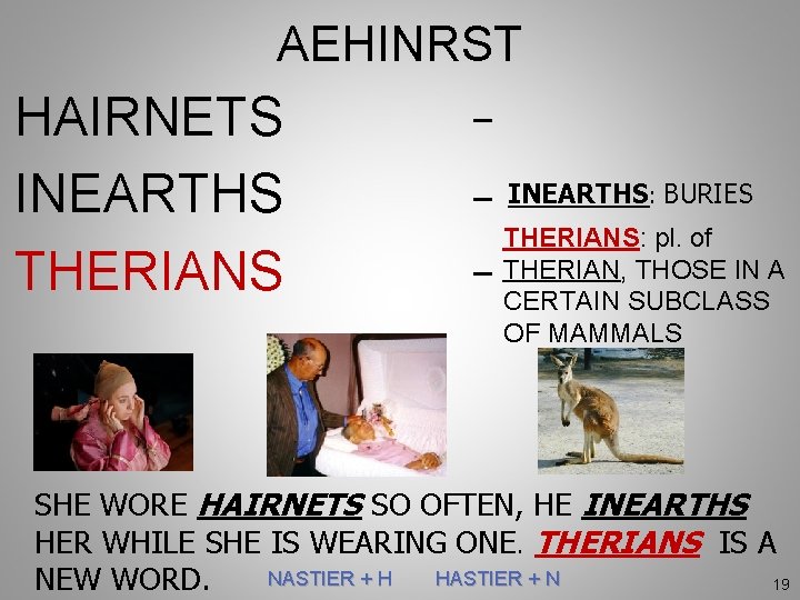 AEHINRST HAIRNETS INEARTHS THERIANS _ _ INEARTHS: BURIES THERIANS: pl. of _ THERIAN, THOSE