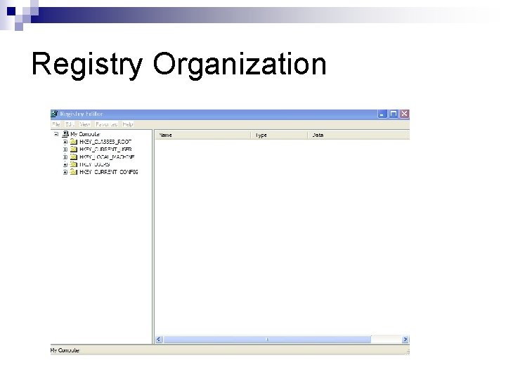 Registry Organization 