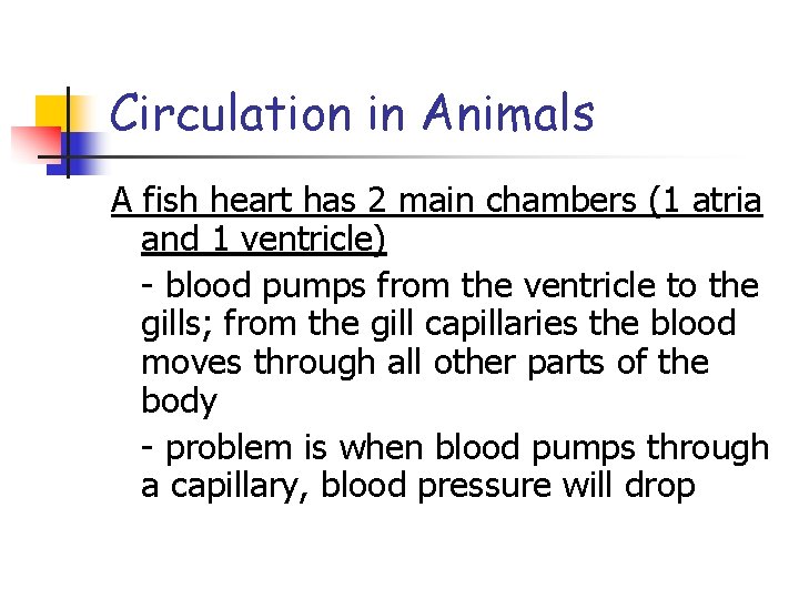 Circulation in Animals A fish heart has 2 main chambers (1 atria and 1