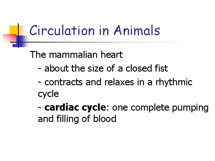 Circulation in Animals The mammalian heart - about the size of a closed fist