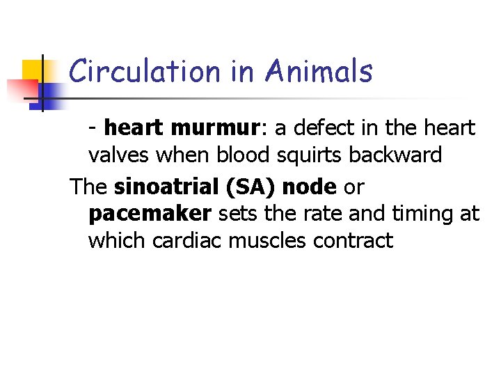 Circulation in Animals - heart murmur: a defect in the heart valves when blood