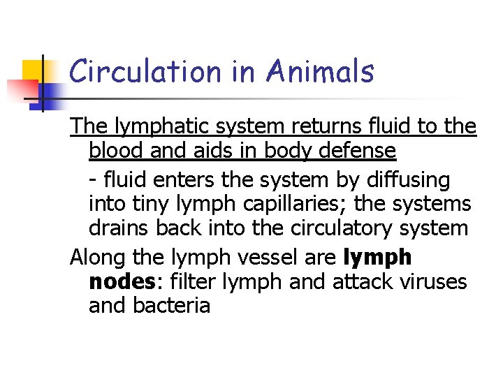 Circulation in Animals The lymphatic system returns fluid to the blood and aids in