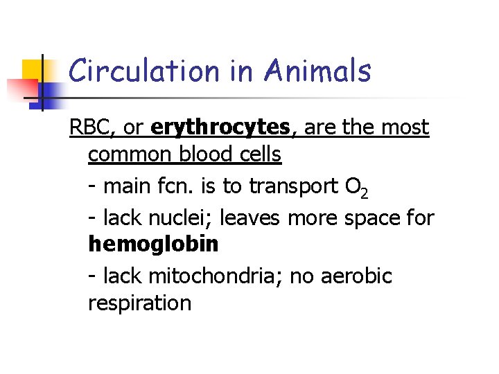 Circulation in Animals RBC, or erythrocytes, are the most common blood cells - main