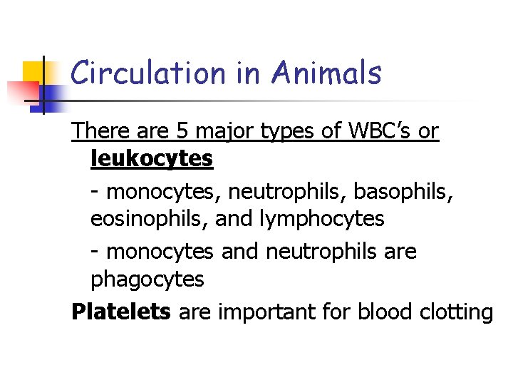 Circulation in Animals There are 5 major types of WBC’s or leukocytes - monocytes,