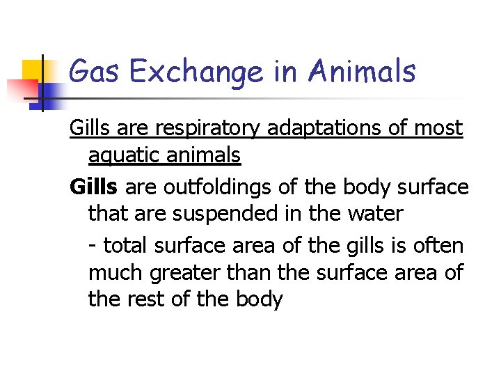 Gas Exchange in Animals Gills are respiratory adaptations of most aquatic animals Gills are