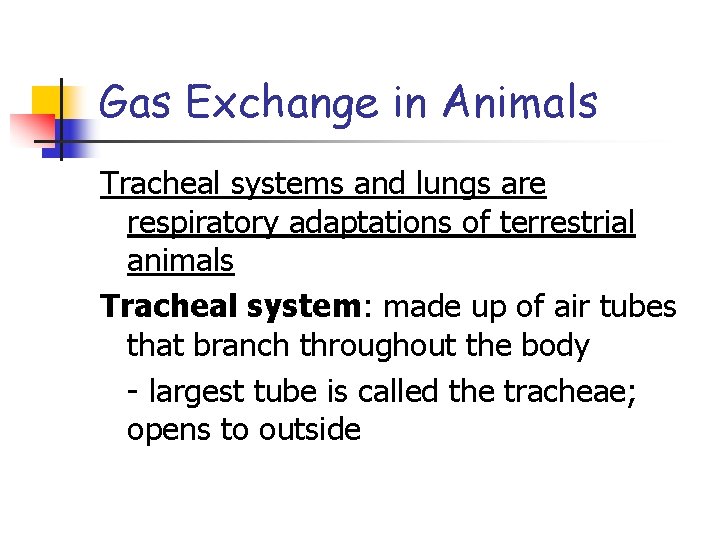 Gas Exchange in Animals Tracheal systems and lungs are respiratory adaptations of terrestrial animals