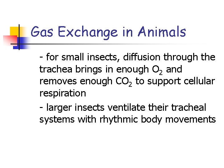 Gas Exchange in Animals - for small insects, diffusion through the trachea brings in