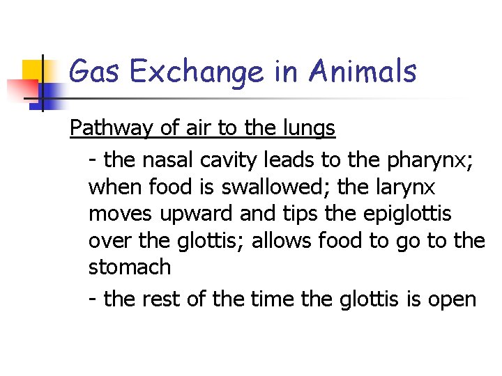 Gas Exchange in Animals Pathway of air to the lungs - the nasal cavity