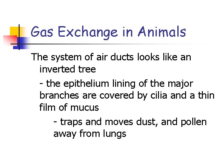 Gas Exchange in Animals The system of air ducts looks like an inverted tree