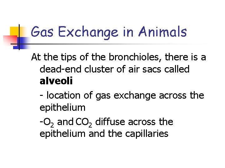 Gas Exchange in Animals At the tips of the bronchioles, there is a dead-end