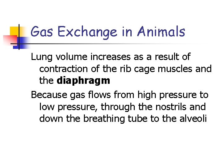 Gas Exchange in Animals Lung volume increases as a result of contraction of the