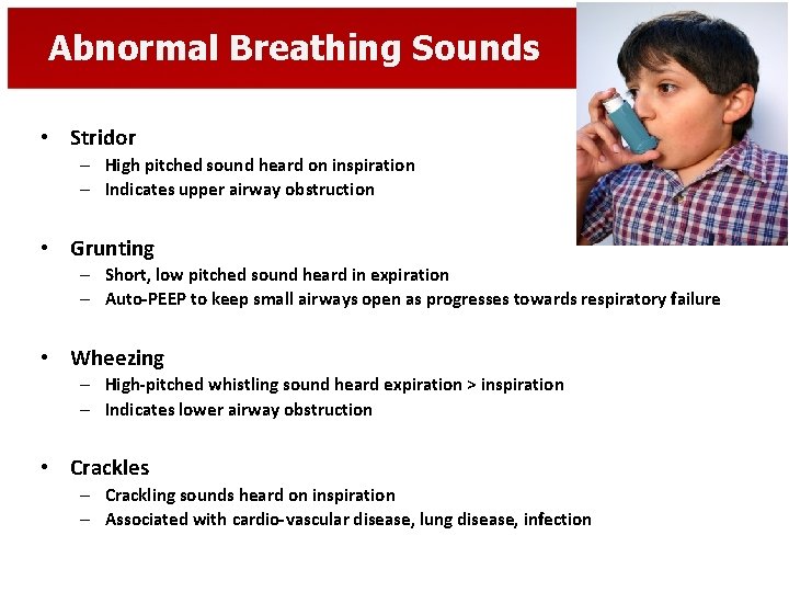 Abnormal Breathing Sounds • Stridor – High pitched sound heard on inspiration – Indicates