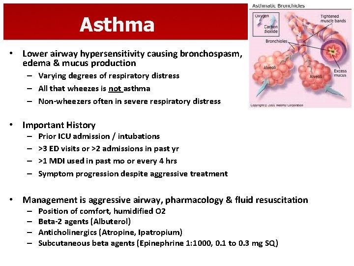 Asthma • Lower airway hypersensitivity causing bronchospasm, edema & mucus production – Varying degrees